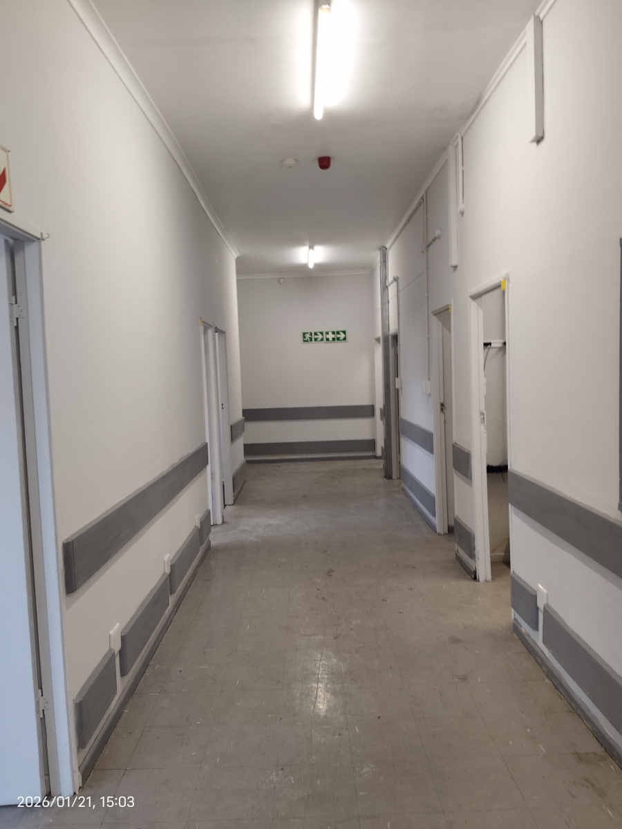 To Let commercial Property for Rent in Rondebosch Western Cape